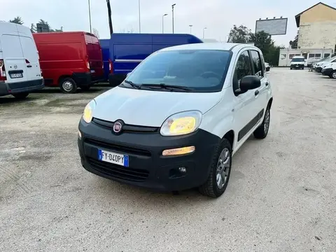 Annonce FIAT PANDA Essence 2019 d'occasion 