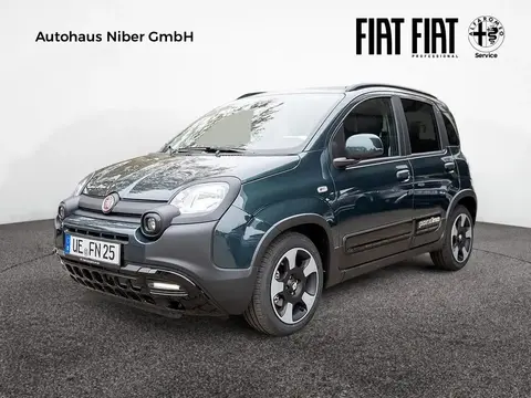 Annonce FIAT PANDA Essence 2024 d'occasion 