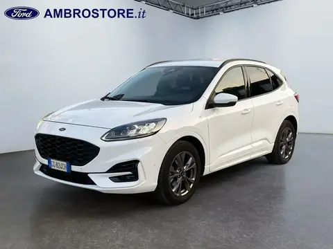 Used FORD KUGA Hybrid 2021 Ad 