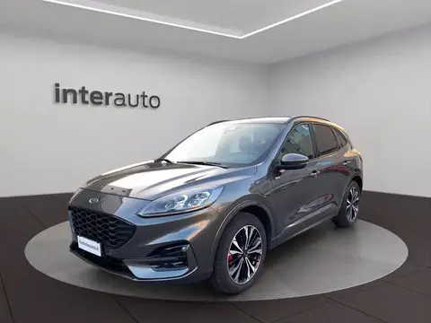 Annonce FORD KUGA Hybride 2021 d'occasion 