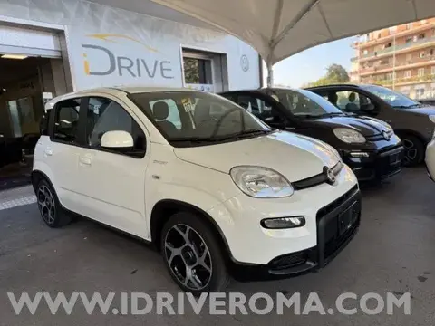 Annonce FIAT PANDA Essence 2022 d'occasion 