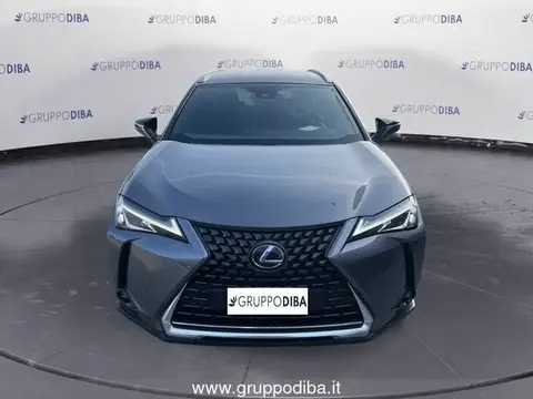 Used LEXUS UX Hybrid 2020 Ad 