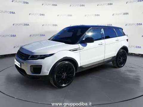 Used LAND ROVER RANGE ROVER EVOQUE Diesel 2017 Ad 