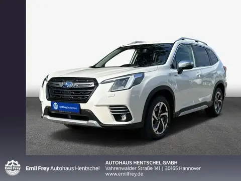 Used SUBARU FORESTER Hybrid 2024 Ad 