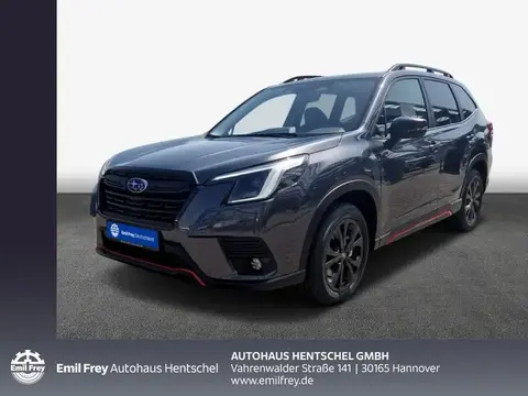 Annonce SUBARU FORESTER Hybride 2024 d'occasion 