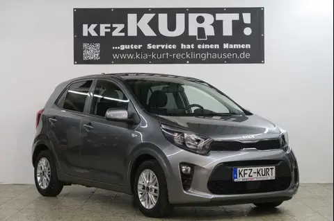 Used KIA PICANTO Petrol 2023 Ad 