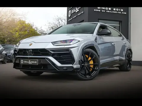 Used LAMBORGHINI URUS Petrol 2022 Ad 