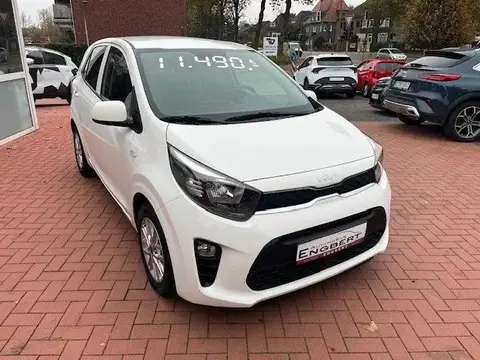 Used KIA PICANTO Petrol 2021 Ad 