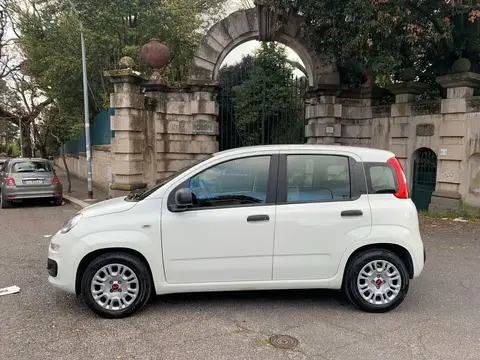 Used FIAT PANDA Hybrid 2022 Ad 