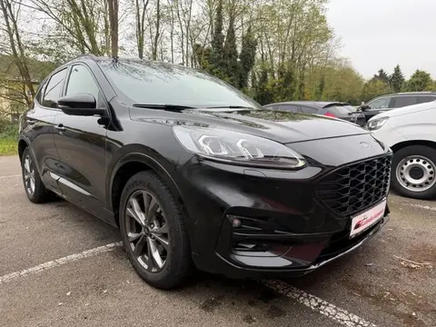 Used FORD KUGA Hybrid 2021 Ad 