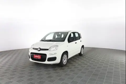 Used FIAT PANDA LPG 2019 Ad 