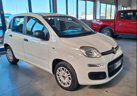 Annonce FIAT PANDA Essence 2020 d'occasion 