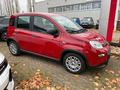 Annonce FIAT PANDA Essence 2024 d'occasion 