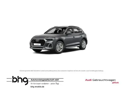 Used AUDI Q5 Hybrid 2021 Ad 