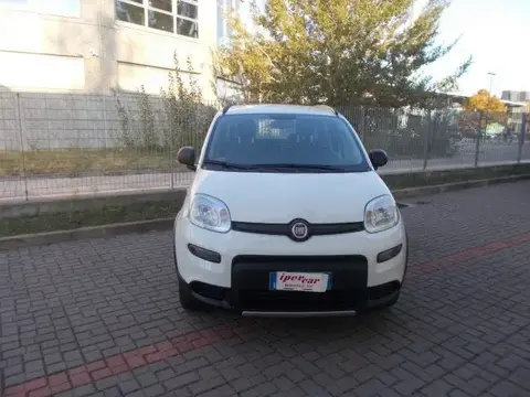 Annonce FIAT PANDA Essence 2019 d'occasion 