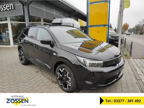 Used OPEL GRANDLAND Petrol 2024 Ad 