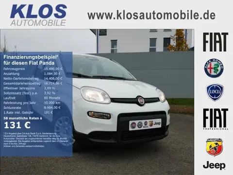 Used FIAT PANDA Petrol 2024 Ad 