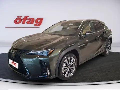 Annonce LEXUS UX Hybride 2024 d'occasion 