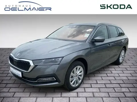 Annonce SKODA OCTAVIA Diesel 2024 d'occasion 