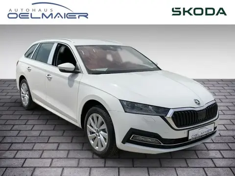 Used SKODA OCTAVIA Diesel 2024 Ad 