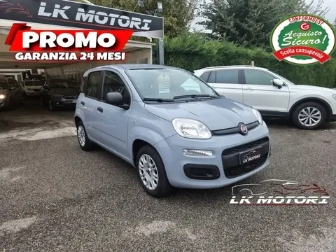 Used FIAT PANDA Petrol 2019 Ad 