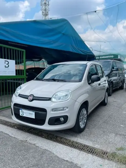 Used FIAT PANDA Petrol 2017 Ad 