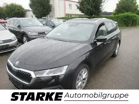 Used SKODA OCTAVIA Diesel 2021 Ad 