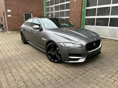 Annonce JAGUAR XF Diesel 2018 d'occasion 