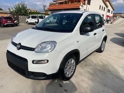 Used FIAT PANDA Hybrid 2022 Ad 