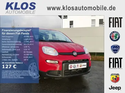 Used FIAT PANDA Petrol 2024 Ad 