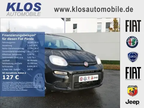 Used FIAT PANDA Petrol 2024 Ad 