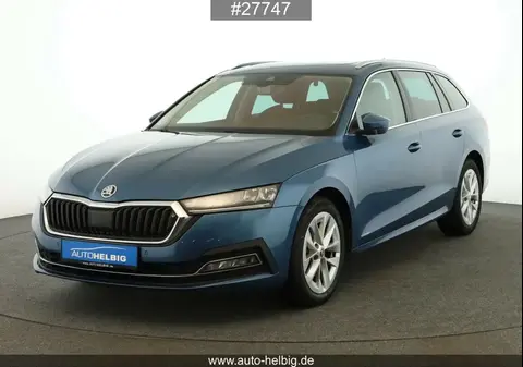 Used SKODA OCTAVIA Diesel 2021 Ad 