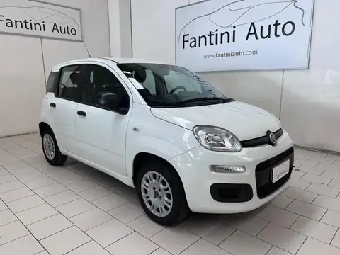 Used FIAT PANDA Petrol 2019 Ad 