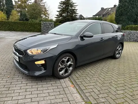 Used KIA CEED Petrol 2019 Ad 