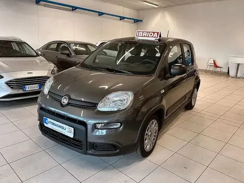 Annonce FIAT PANDA Hybride 2023 d'occasion 