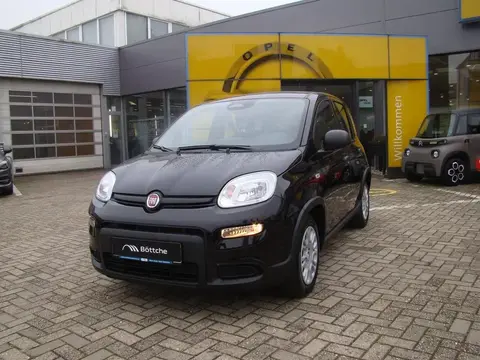 Used FIAT PANDA Petrol 2024 Ad 