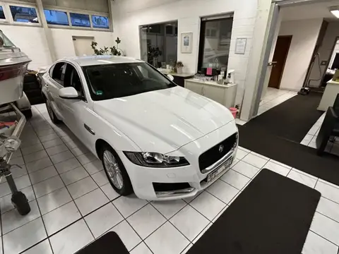 Annonce JAGUAR XF Diesel 2017 d'occasion 