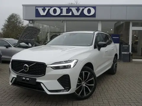 Annonce VOLVO XC60 Diesel 2024 d'occasion 