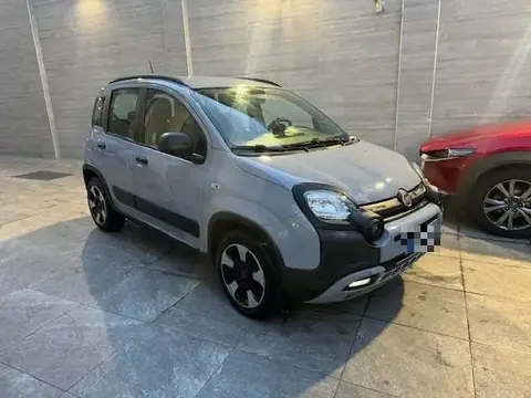 Used FIAT PANDA Hybrid 2020 Ad 