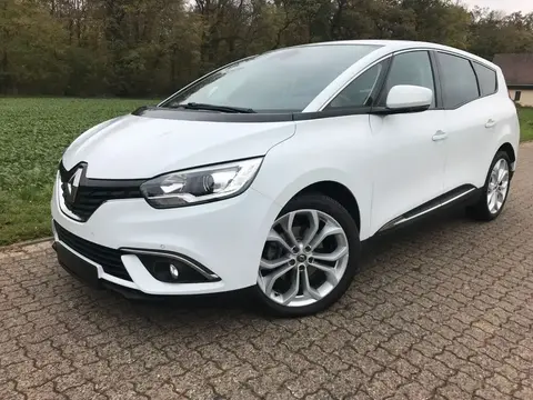 Used RENAULT SCENIC Diesel 2019 Ad 