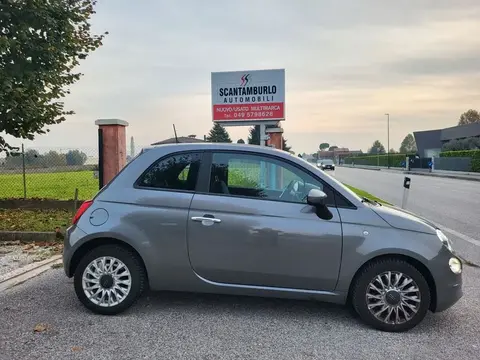 Annonce FIAT 500 GPL 2021 d'occasion 