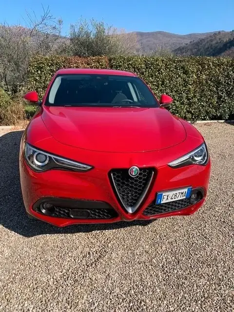 Used ALFA ROMEO STELVIO Diesel 2019 Ad 