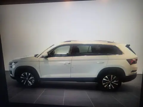 Annonce SKODA KODIAQ Diesel 2024 d'occasion 