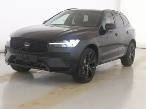 Annonce VOLVO XC60 Hybride 2024 d'occasion 