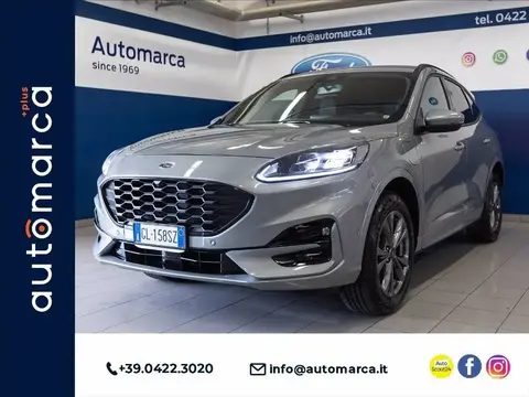 Annonce FORD KUGA Hybride 2022 d'occasion 