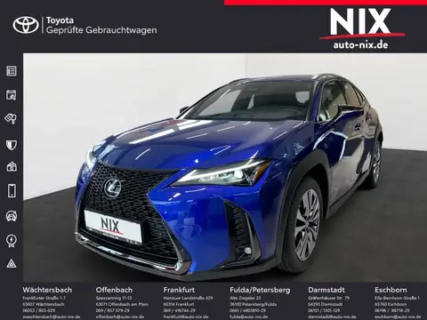 Annonce LEXUS UX Hybride 2024 d'occasion 