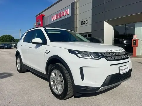 Used LAND ROVER DISCOVERY Hybrid 2021 Ad 