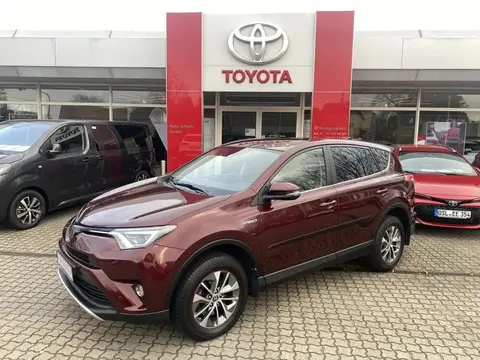 Used TOYOTA RAV4 Hybrid 2016 Ad 