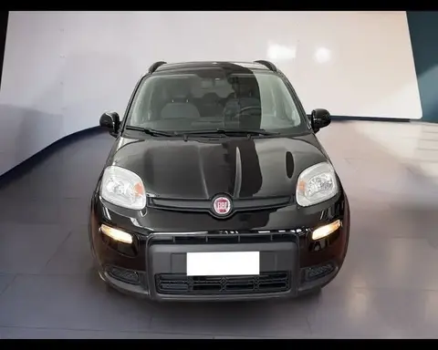 Used FIAT PANDA Hybrid 2022 Ad 