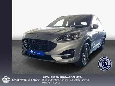 Used FORD KUGA Hybrid 2022 Ad 